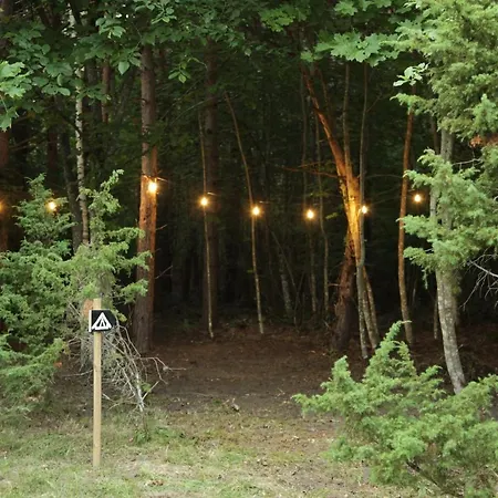 Muhu Forest Camping